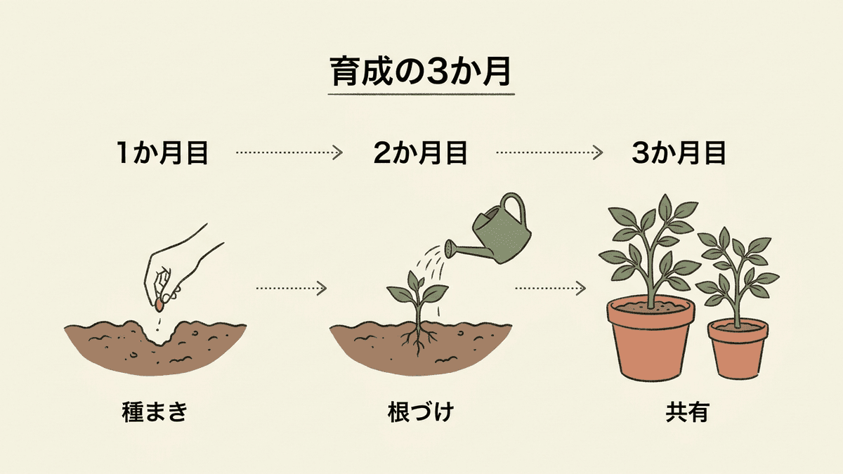 3か月の育成プログラムの流れと各月の到達点を示した図